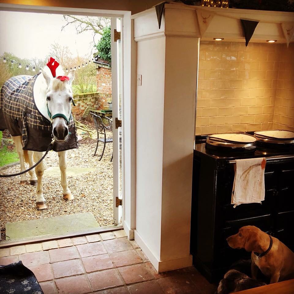 традиционная английская печь AGA