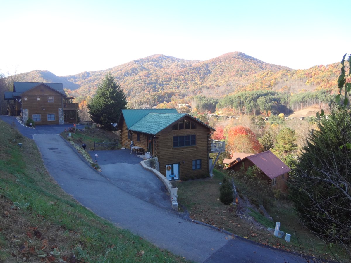 американские дома шале