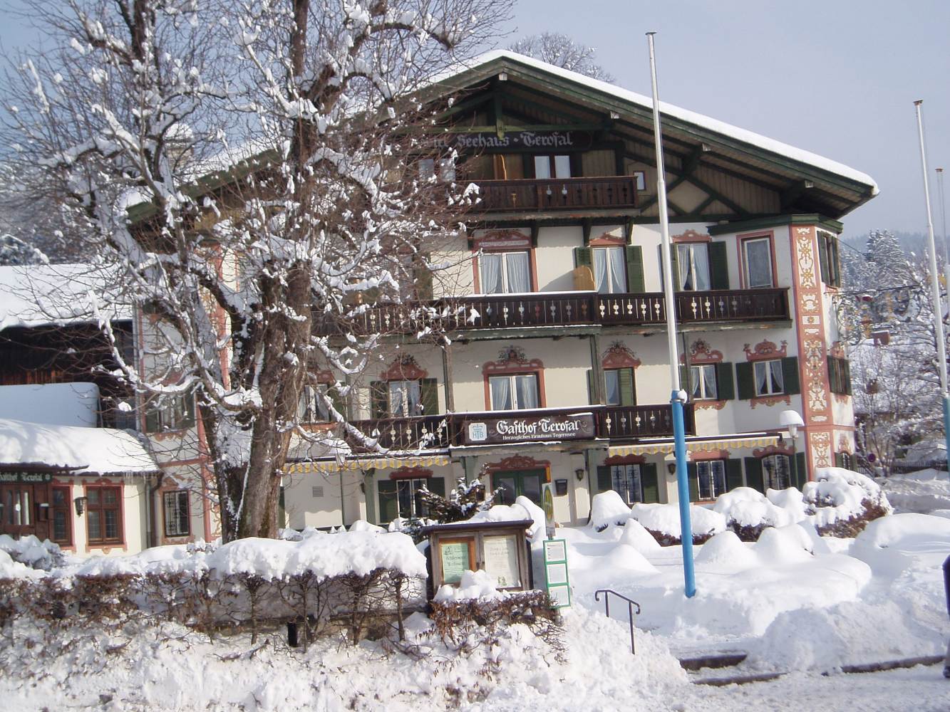 дома в стиле шале