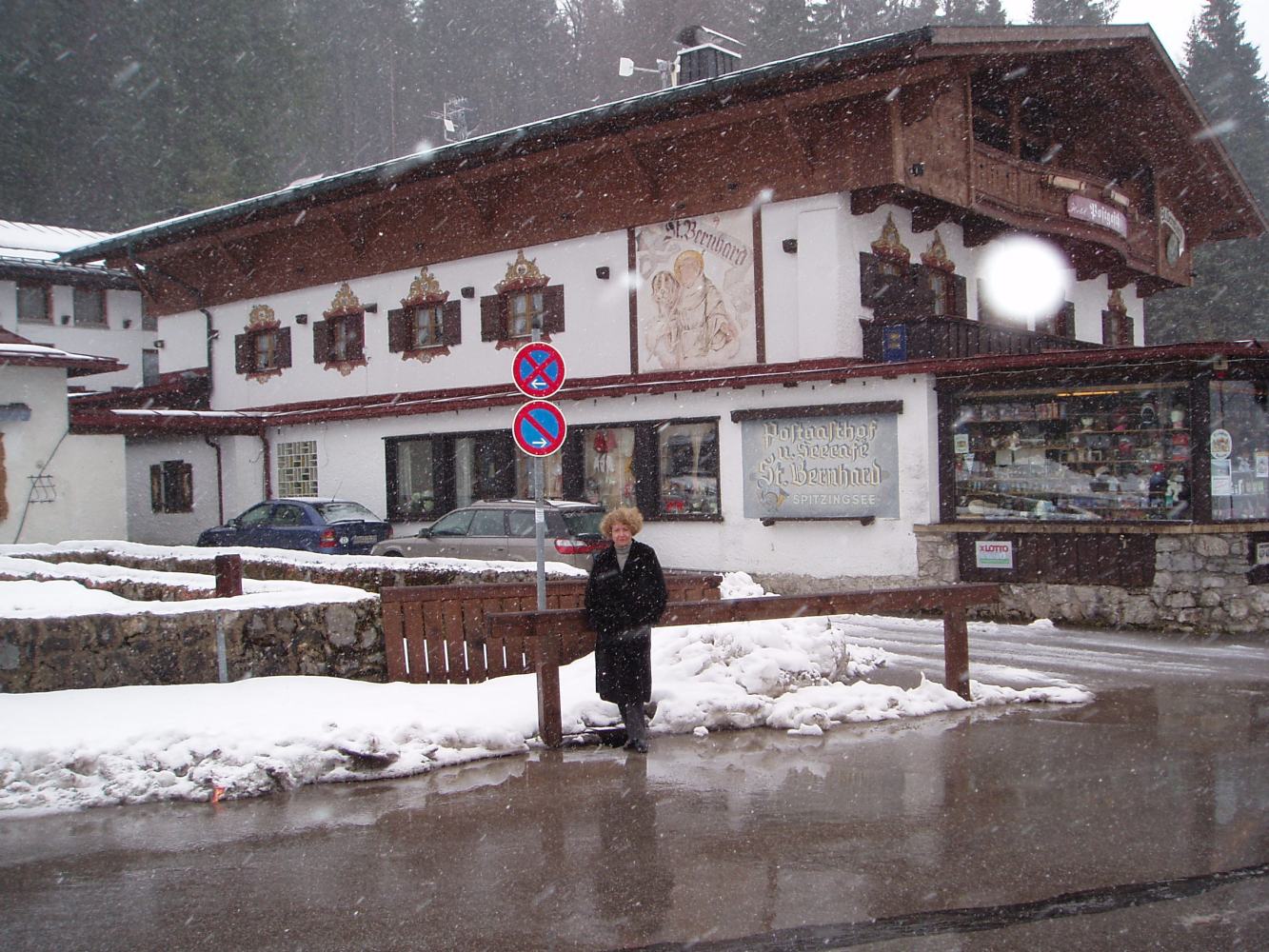 дом в стиле шале