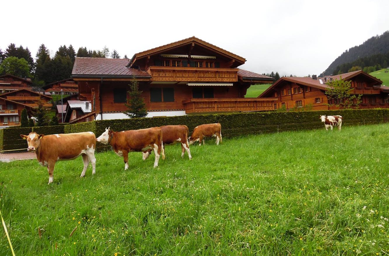 дом шале c балконом