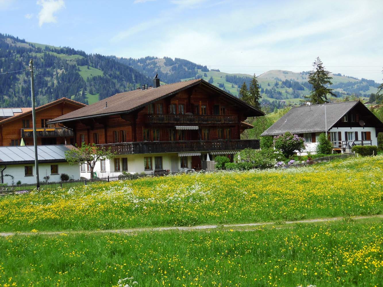 загородный дом в стиле шале